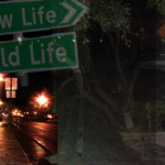 New lIfe old life David Moore & No More Detours jazz-pop band Tampa Bay Chicago New York Nashville LA Vegas